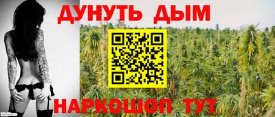 тгк Дмитров