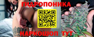герыч Долгопрудный